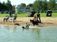 Bild des Hundehotels Pfötchenhotel Resort für Berlin GmbH