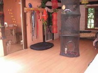 Bild des Hundehotels Hundetraining leicht gemacht